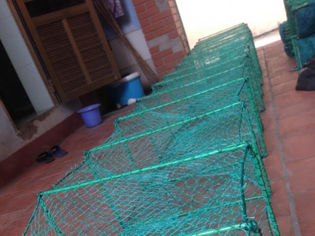 Lưới đánh cá